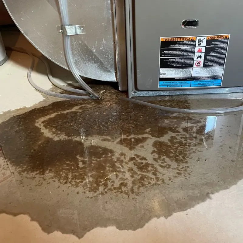 Pipe Burst and Leak Restoration in Grant County, MN