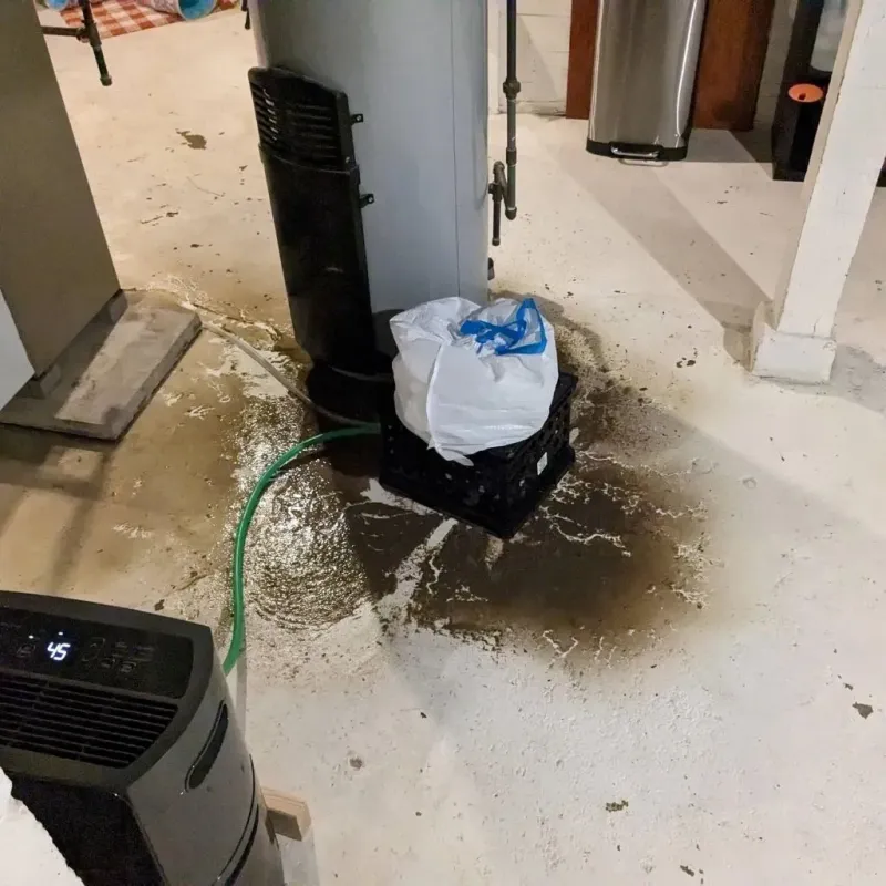 Sewage Backup Cleanup Service in Grant County, MN